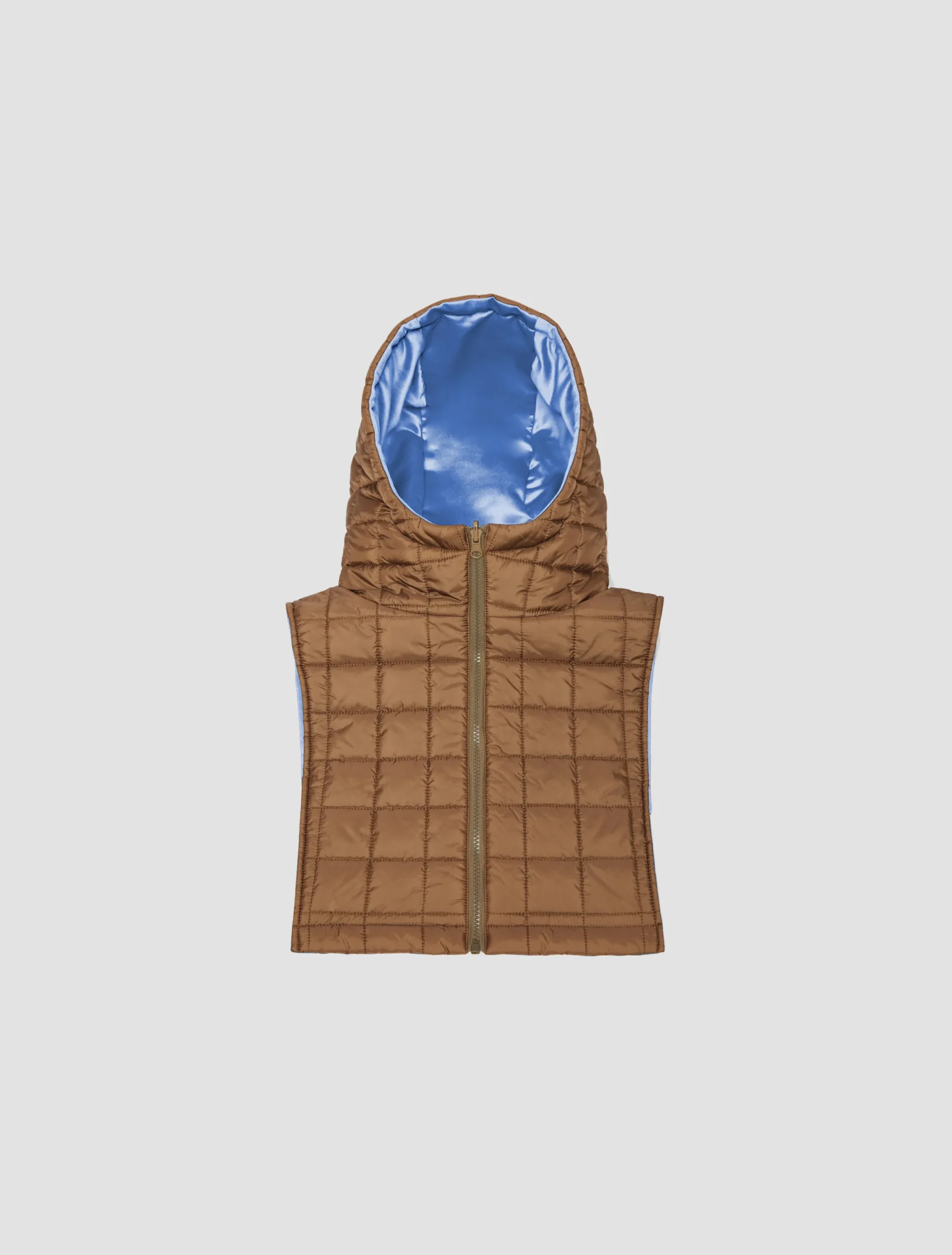 Reversible hooded collar