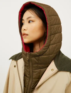 Reversible hooded collar